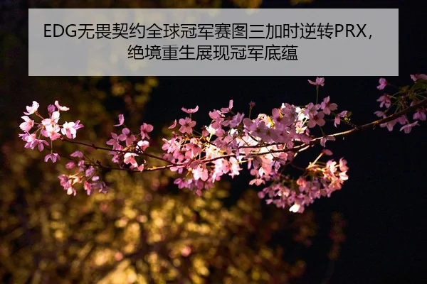 wu-wei-qi-yue-quan-qiu-guan-jun-sai-tu-san-jia-shi-ni-zhuan-jue-jing-chong-sheng-zhan-xian-guan-jun-di-yun-2-845.jpg