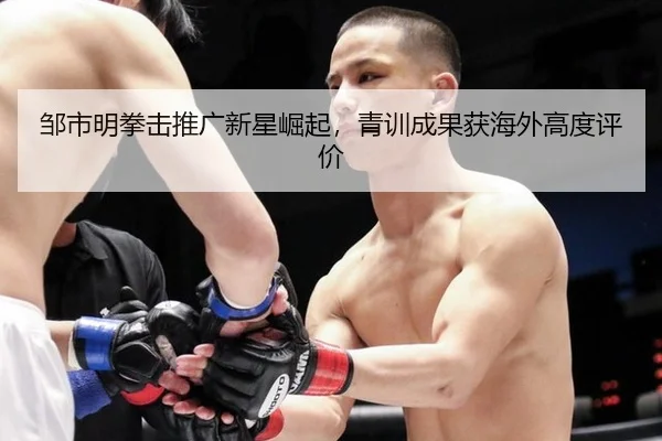 zou-shi-ming-quan-ji-tui-guang-xin-xing-jue-qi-qing-xun-cheng-guo-huo-hai-wai-gao-du-ping-jia-3-627.jpg